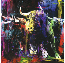 Schilderij met drie stieren in verschillende kleuren