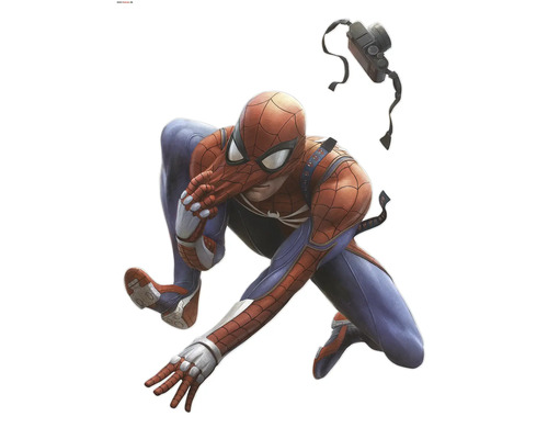 Spider-Man wanddecoratie met camera
