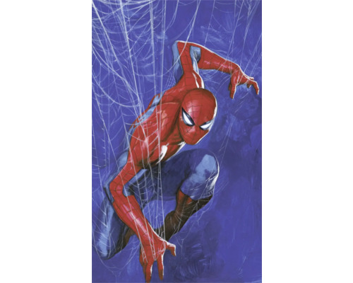 Illustratie van Spider-Man voor een spinnenweb