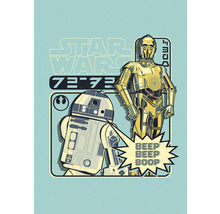Star Wars illustratie met C-3PO en R2-D2