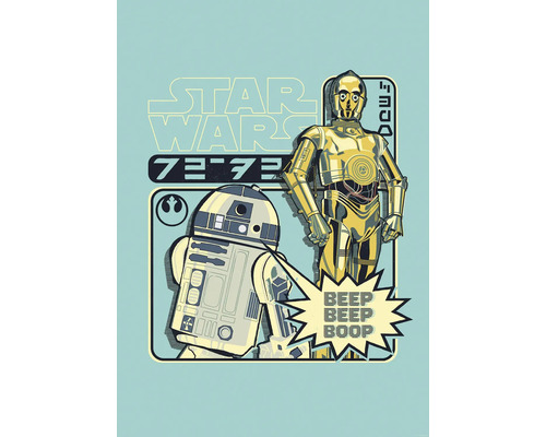 Star Wars illustratie met C-3PO en R2-D2