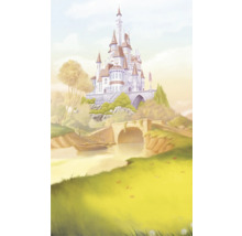 Illustratie van een kasteel op een heuvel met een rivier en een brug