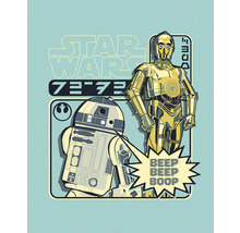 Star Wars illustratie met R2-D2 en C-3PO