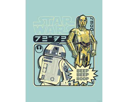 Star Wars illustratie met R2-D2 en C-3PO