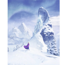 Winterlandschap met ijspaleis en vrouwelijke figuur