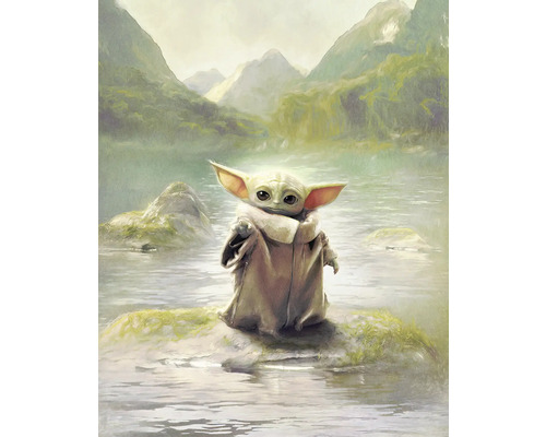 KOMAR Fotobehang vlies DX4-211 Star Wars The Mandalorian Grogu 200x250 cm Schilderij van Baby Yoda op een rots in het water voor een berglandschap.