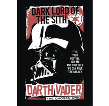 Darth Vader poster met de quote: Dark Lord of the Sith
