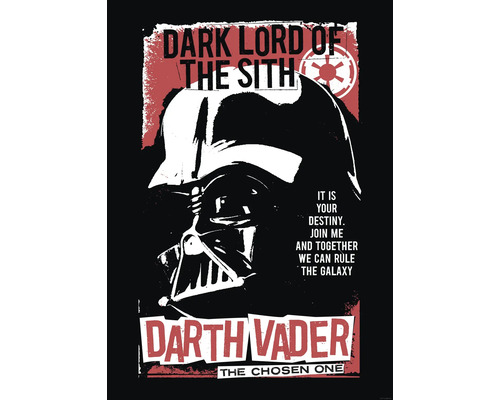 Darth Vader poster met de quote: Dark Lord of the Sith