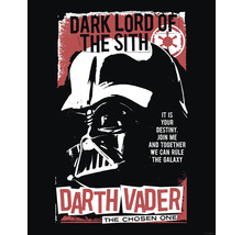 Darth Vader poster met het opschrift Duistere Heer van de Sith