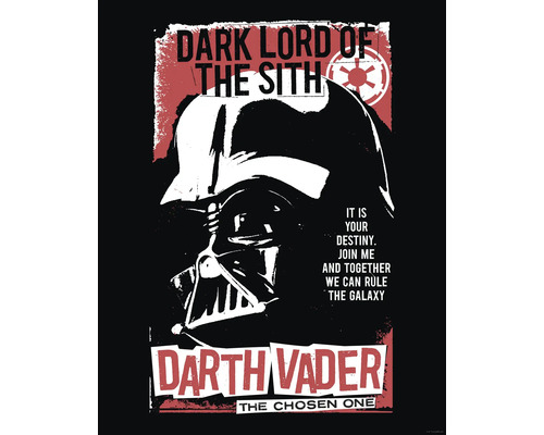 Darth Vader poster met het opschrift Duistere Heer van de Sith