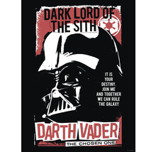 Darth Vader Star Wars poster met de tekst Dark Lord of the Sith