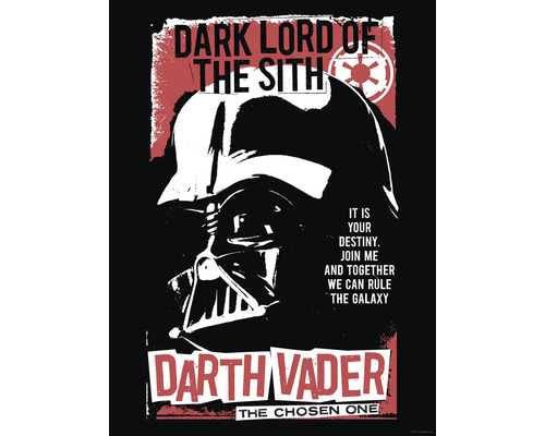 KOMAR Poster Star Wars Darth Vader 30x40 cm Darth Vader Star Wars poster met de tekst Dark Lord of the Sith