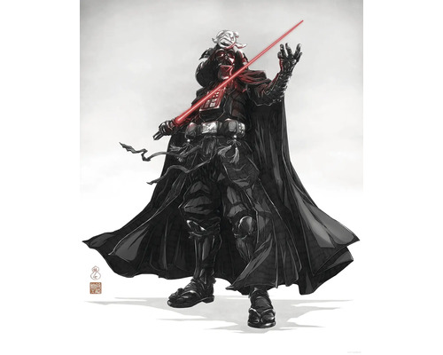 KOMAR Poster Star Wars Samurai dark lord 40x50 cm Illustratie van een figuur met helm, cape en rood lichtzwaard