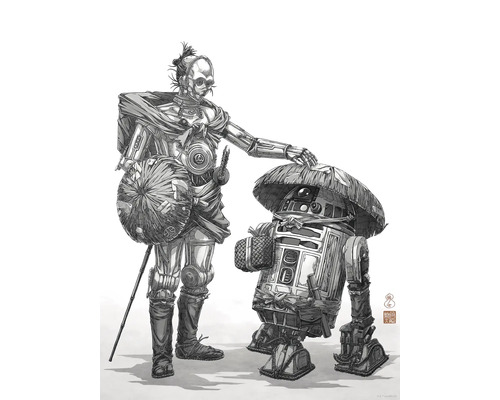 KOMAR Poster Star Wars Samurai droids 30x40 cm Illustratie van twee robots met hoeden