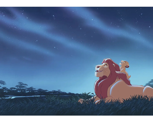 KOMAR Fotobehang vlies DX7-197 Disney The Lion King Stargazing 350x250 cm Illustratie met een liggende leeuw en een leeuwenwelp onder een sterrenhemel