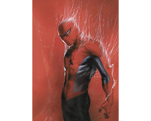 Illustratie van Spider-Man in zijn kostuum, omgeven door spinnenwebben.