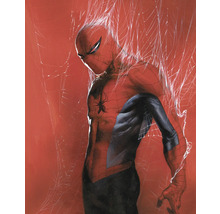 Illustratie van Spiderman tegen een rode achtergrond en spinnenwebben.