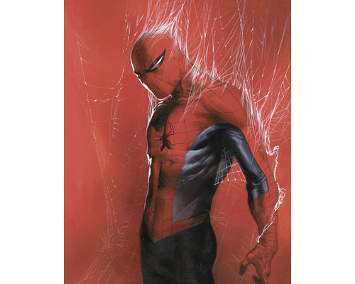 Illustratie van Spiderman tegen een rode achtergrond en spinnenwebben.