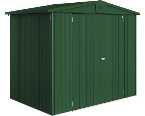 Metalen tuinhuis met dubbele deur