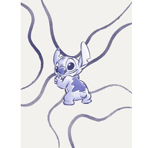 Illustratie van Stitch, een personage