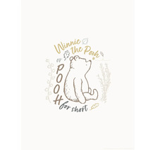 Winnie de Poeh illustratie