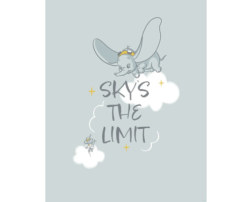 Illustratie van Dumbo met de slogan The Sky is the Limit