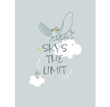 Dumbo-motief met de tekst The sky is the limit