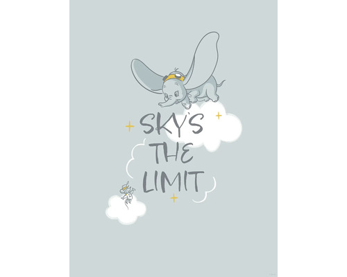 Dumbo-motief met de tekst The sky is the limit