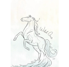 Tekening van een steigerend paard met het opschrift Wild One.
