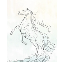 Illustratie van een steigerend paard met het opschrift Wild One