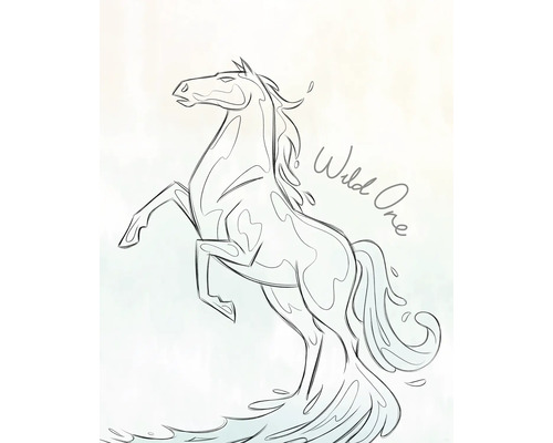 Illustratie van een steigerend paard met het opschrift Wild One