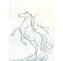 Illustratie van een steigerend paard met het opschrift Wild One