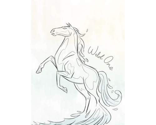 Illustratie van een steigerend paard met het opschrift Wild One