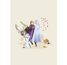 Illustratie van de personages uit Frozen met Kristoff, Anna, Elsa, Rendier Sven en Sneeuwpop Olaf.