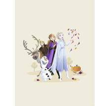 Illustratie van personages uit de film Frozen, waaronder Anna, Elsa, Kristoff, rendier Sven en sneeuwpop Olaf.