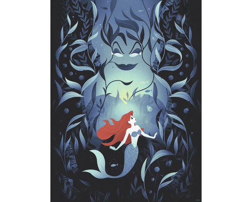 Illustratie van Ariël de kleine zeemeermin en Ursula de zeeheks onderwater