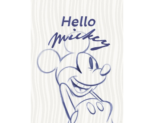 Illustratie van Mickey Mouse met de tekst Hallo Mickey