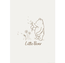 Illustratie van een kleine beer die een paardenbloem vasthoudt