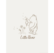 Illustratie van een beer met een paardenbloem en de tekst Little Bear