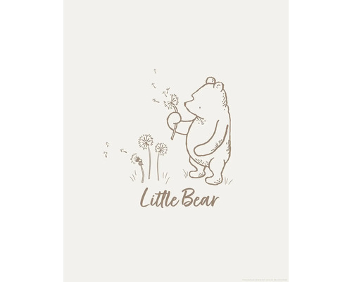 Illustratie van een beer met een paardenbloem en de tekst Little Bear