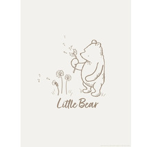 Illustratie van een beer met paardenbloemen en de tekst Kleine Beer