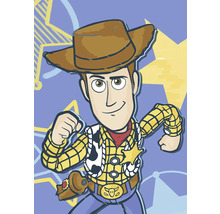 Illustratie van Cowboy Woody met hoed, overhemd, vest en riem