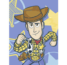 Cartoon van Sheriff Woody van Toy Story