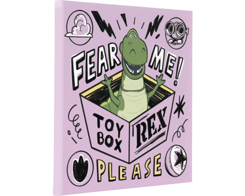 Toy Story Rex wanddecoratie met dinosaurusmotief