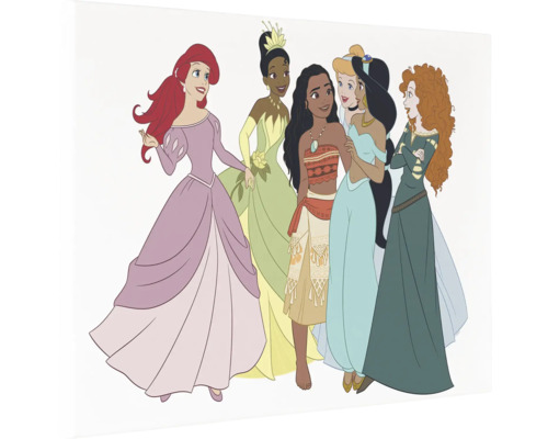Illustratie van zes Disneyprinsessen, waaronder Ariël, Tiana, Vaiana, Assepoester, Jasmine en Merida.