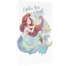 Illustratie van Ariël, Flounder en Sebastiaan met de tekst Explore Your World