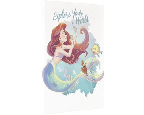 Illustratie van Ariël, Flounder en Sebastiaan met de tekst Explore Your World
