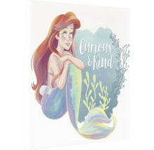 "Illustratie van Ariël de zeemeermin, met het opschrift ""Nieuwsgierig & Vriendelijk"""