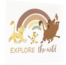 Illustratie met de figuren Simba, Timon en Pumbaa uit de Lion King en een regenboog.