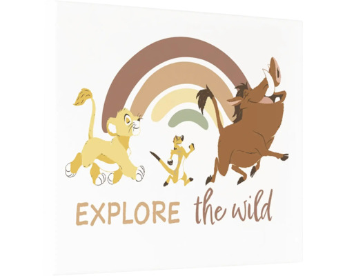Illustratie met de figuren Simba, Timon en Pumbaa uit de Lion King en een regenboog.